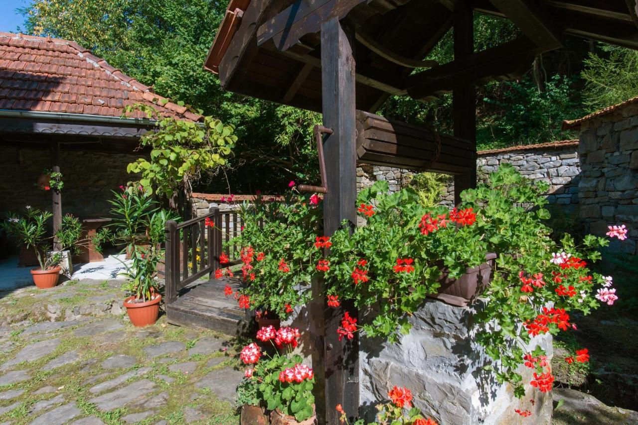 Family Hotel Bile Beli Osŭm Exterior foto